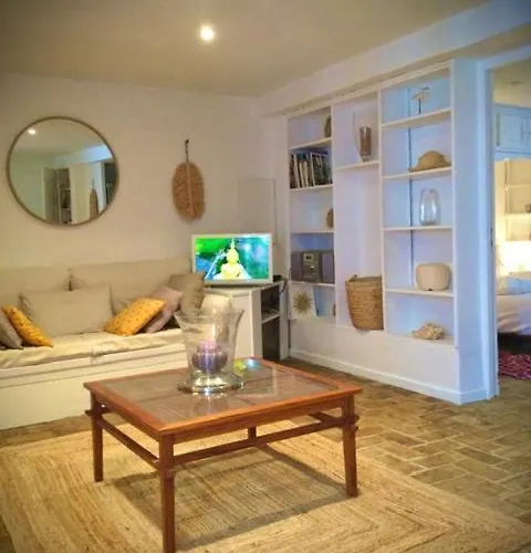 Appartement Petite Maison Mitoyenne Au Coeur De Tropez Saint-Tropez